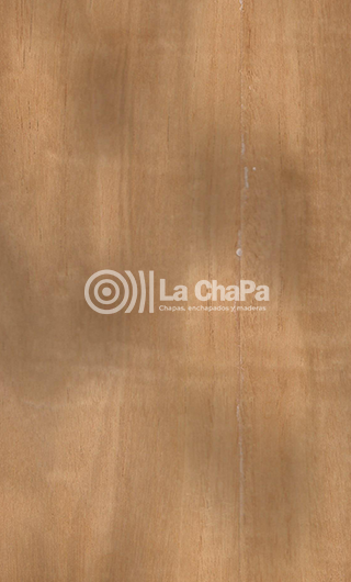 Chapa Caoba