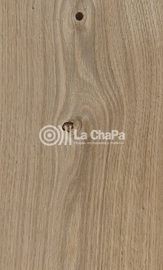 Chapa Encino Blanco Rústico