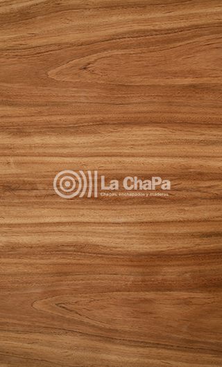 Wengue Kasai Imagen 2