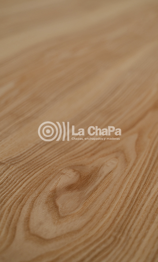 Chapa Fresno Olivato