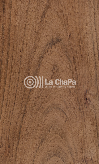 Chapa Jatoba Flama