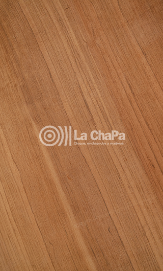 Chapa Jatoba Rayada
