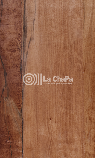 Chapa Manzano de India