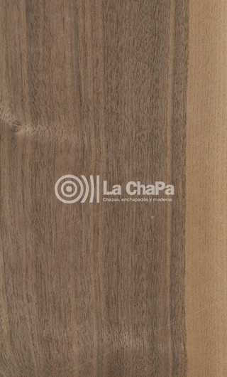 Chapa Nogal Americano Salvaje
