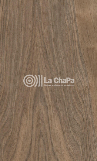 Chapa Nogal Francés