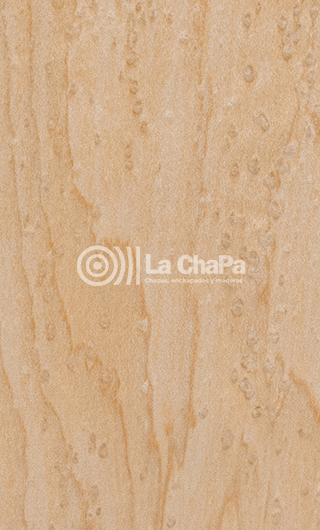 Chapa Ojo de Pájaro