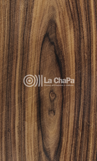 Chapa Palo de Rosa Rayado