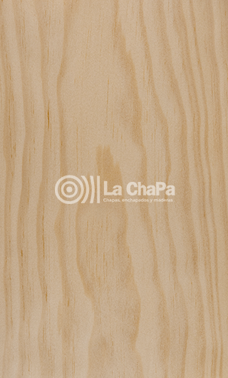 Chapa Pino USA Flama