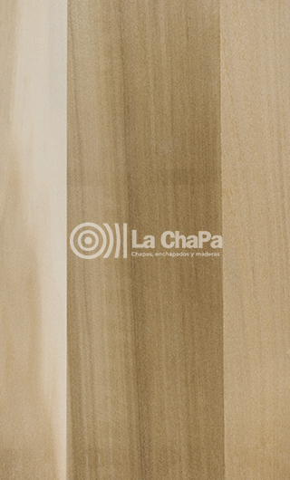 Chapa Poplar Mineral