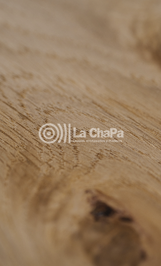 Roble Europeo Rústico 2