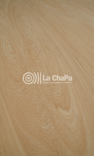 Rosa Morada Imagen 2