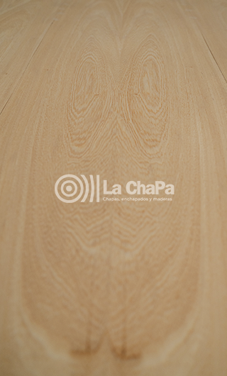 Rosa Morada Imagen 3