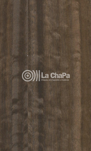 chapa Eucalipto Friseado