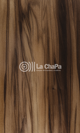 Chapa Nogal Satín