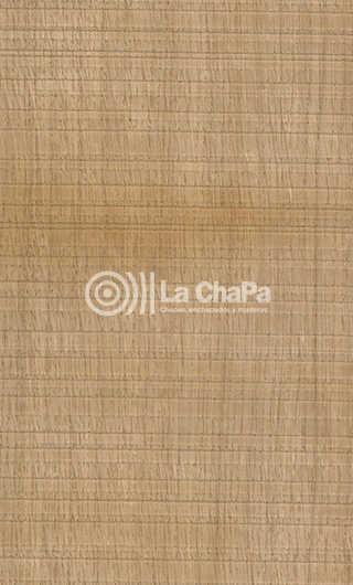chapa Roble E Natural