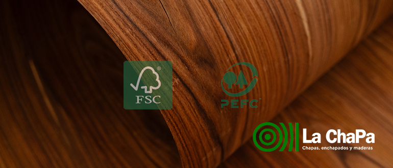 Madera sostenible: qué es, beneficios y certificaciones (FSC y PEFC)