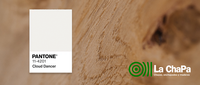 Tendencias de diseño de interiores 2026 con chapa de madera natural